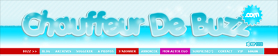 Capture du Blog Chauffeurdebuzz